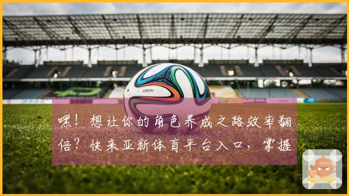 嘿！想让你的角色养成之路效率翻倍？快来亚新体育平台入口，掌握这些独门秘籍！