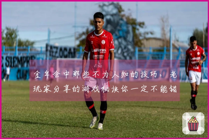 金年会中那些不为人知的技巧，老玩家分享的游戏秘诀你一定不能错过