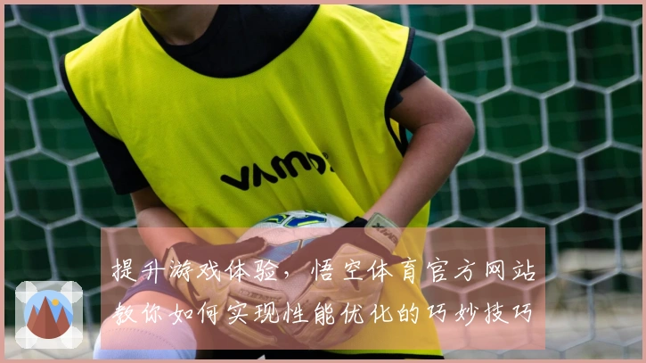 提升游戏体验，悟空体育官方网站教你如何实现性能优化的巧妙技巧